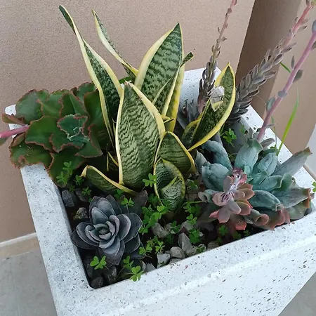 Casa Perlamare Nyaraló *